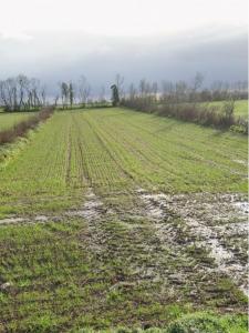 For sale Aigrefeuille-d'aunis 500 m2 Charente maritime (17290) photo 1