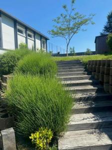 Louer Bureau Quimper 36000 euros