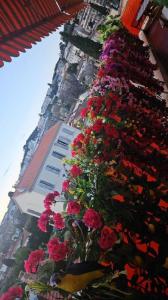 Annonce Location 3 pices Appartement Cannet 06