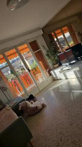 Louer Appartement Cannet 1090 euros
