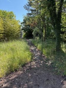 Acheter Terrain Monteleger 195000 euros