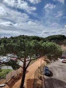 Acheter Appartement Muret Haute garonne