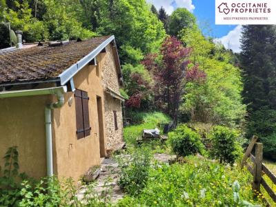 For sale Couflens 3 rooms 40 m2 Ariege (09140) photo 1