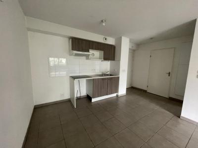 Annonce Location 3 pices Appartement Toulouse 31