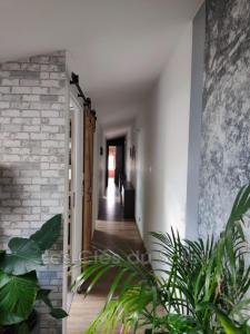 Acheter Appartement Forcalqueiret 240000 euros