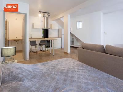 For rent Terre-sainte 1 room 43 m2 Reunion (97410) photo 3