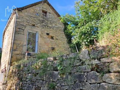 Annonce Vente 4 pices Maison Banassac 48