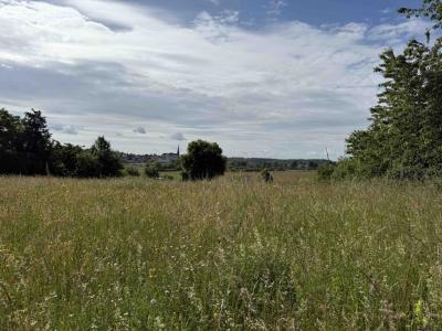 Annonce Vente Terrain  57