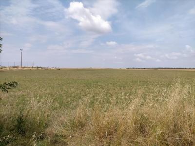 For sale Saint-laurent-de-la-pree 390 m2 Charente maritime (17450) photo 0