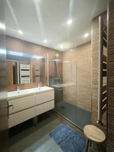Louer Appartement 73 m2 Colomiers