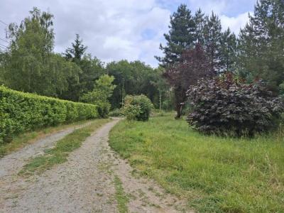 Annonce Vente 9 pices Maison Chemille 49