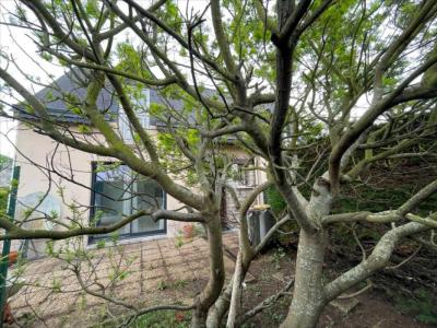 Annonce Vente 4 pices Maison Saint-malo 35