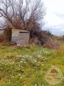 For sale Palme 2270 m2 Aude (11480) photo 0