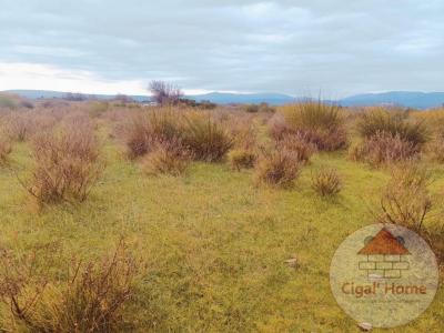 For sale Palme 2270 m2 Aude (11480) photo 1