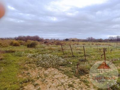 For sale Palme 2270 m2 Aude (11480) photo 2