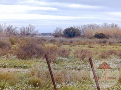 For sale Palme 2270 m2 Aude (11480) photo 3