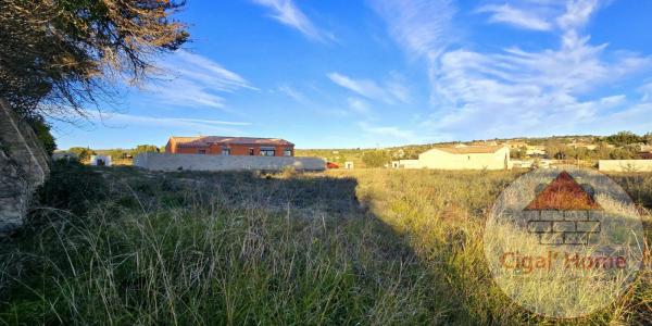 For sale Palme 688 m2 Aude (11480) photo 2
