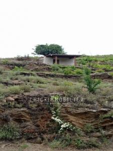 For sale Collioure 8000 m2 Pyrenees orientales (66190) photo 1