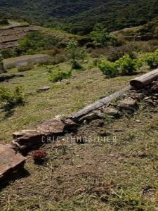 For sale Collioure 8000 m2 Pyrenees orientales (66190) photo 3