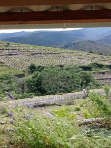 For sale Collioure 8000 m2 Pyrenees orientales (66190) photo 4