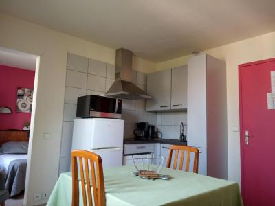 For rent Aix-les-bains 2 rooms 25 m2 Savoie (73100) photo 0