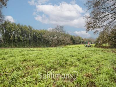 Annonce Vente Terrain Grand-champ 56