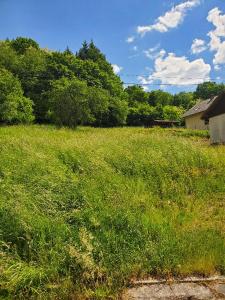 For sale 1 room 755 m2 Bas rhin (67130) photo 1