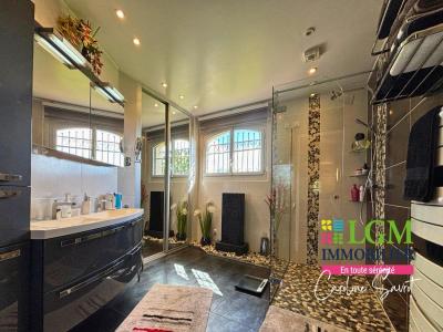 Acheter Maison Saint-alban 650000 euros