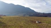 Vente Terrain Thorens-glieres 305 m2