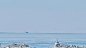 For sale Apartment Nice 80 m2 3 pieces