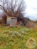 For sale Land Palme  2270 m2