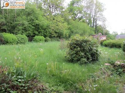 Acheter Maison Chateau-chinon 43500 euros
