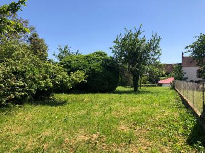 For sale Beton-bazoches 1220 m2 Seine et marne (77320) photo 3