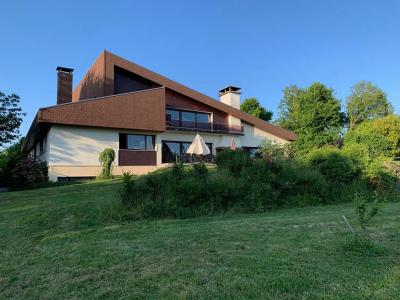 Annonce Vente Prestige Nancy 54
