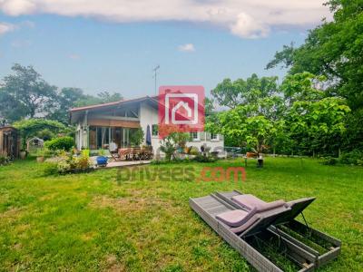 Annonce Vente 8 pices Maison Saint-symphorien 33