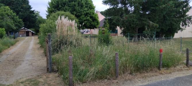 Annonce Vente Terrain Bordes 45