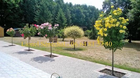 Annonce Vente 7 pices Maison Change 72
