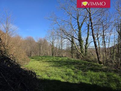 For sale Lourdes 1 room 72 m2 Hautes pyrenees (65100) photo 2