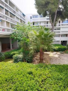 Acheter Appartement Grande-motte 255000 euros