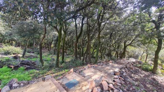 For sale Laurens 4 rooms 131 m2 Herault (34480) photo 2