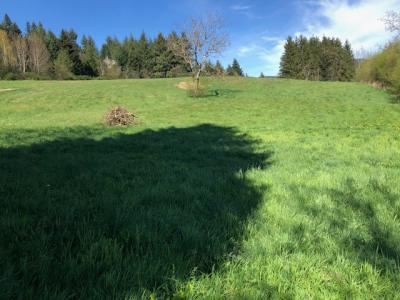 Annonce Vente Terrain Chabreloche 63