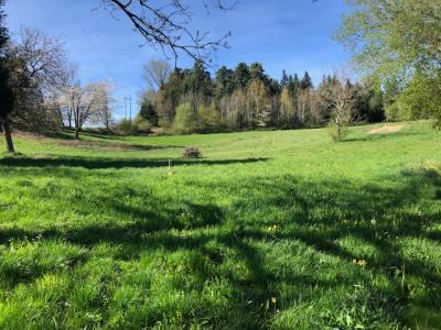 Acheter Terrain 4941 m2 Chabreloche