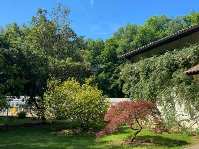 For sale Blasimon 9 rooms 330 m2 Gironde (33540) photo 1