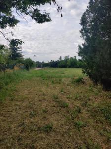 Acheter Terrain 755 m2 Mondragon