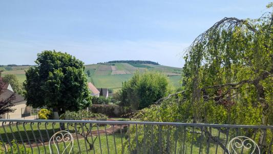 For sale Saint-bris-le-vineux 8 rooms 168 m2 Yonne (89530) photo 2