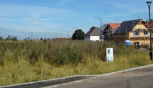For sale Ottmarsheim 568 m2 Haut rhin (68490) photo 0