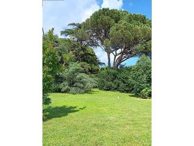 For sale Castelginest 7 rooms 225 m2 Haute garonne (31780) photo 1
