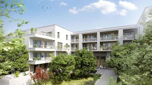 Annonce Location 2 pices Appartement Bischheim 67