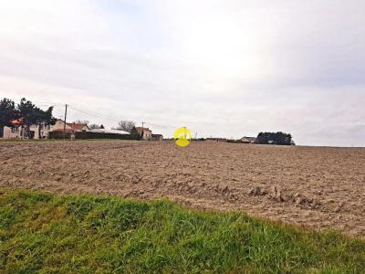 Acheter Terrain Loudun Vienne