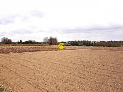Acheter Terrain Loudun 19000 euros